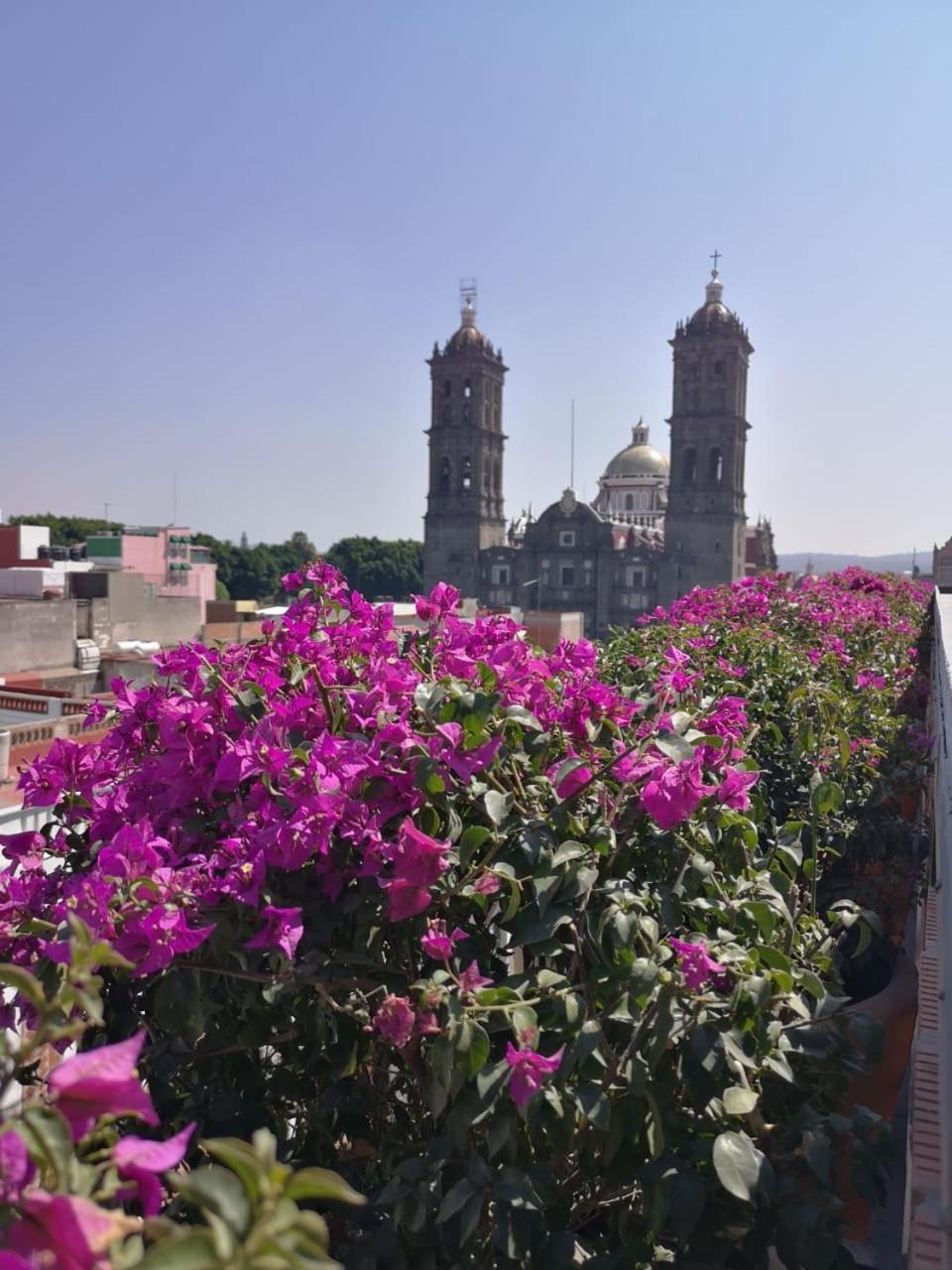 Isabel Puebla